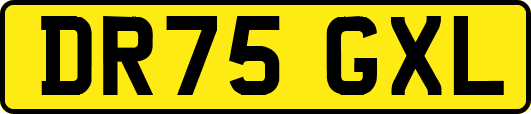 DR75GXL