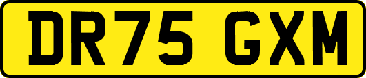 DR75GXM