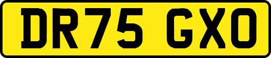 DR75GXO
