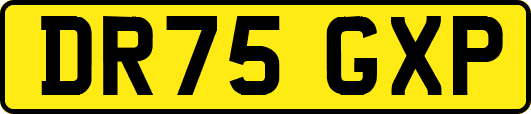 DR75GXP