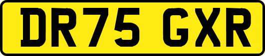 DR75GXR