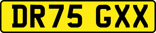 DR75GXX