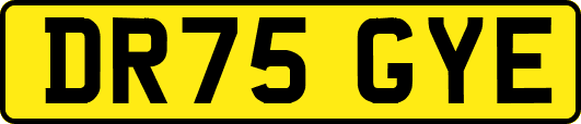 DR75GYE