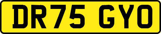 DR75GYO