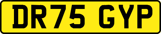 DR75GYP