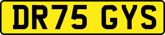 DR75GYS