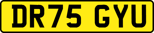 DR75GYU
