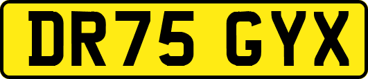 DR75GYX