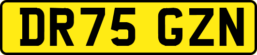 DR75GZN