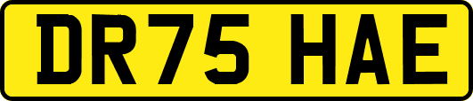 DR75HAE