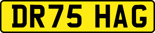 DR75HAG