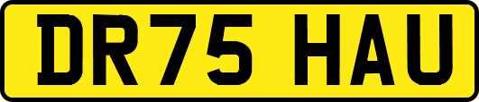DR75HAU