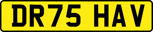 DR75HAV