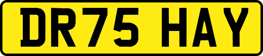 DR75HAY