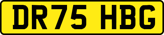 DR75HBG