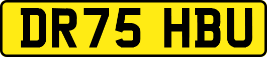 DR75HBU