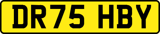 DR75HBY