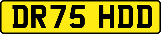 DR75HDD