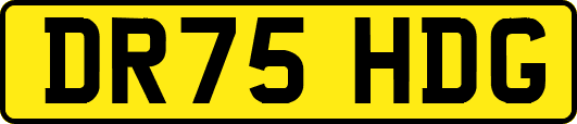 DR75HDG