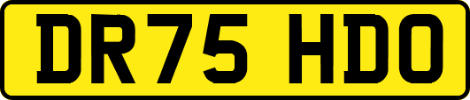 DR75HDO