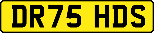 DR75HDS