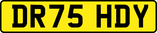 DR75HDY