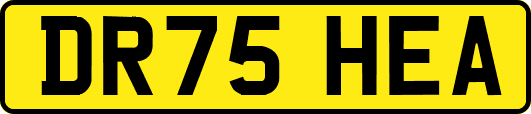 DR75HEA