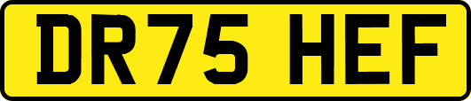 DR75HEF