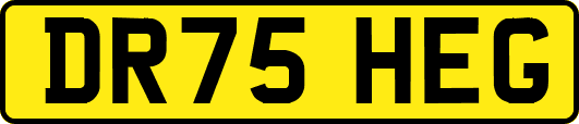 DR75HEG