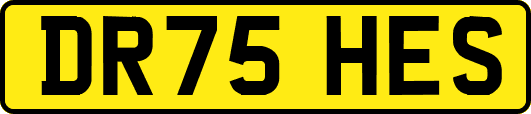 DR75HES