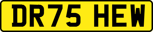 DR75HEW