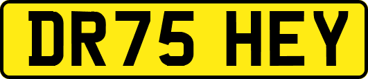 DR75HEY