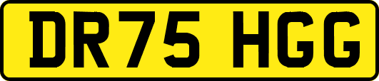 DR75HGG