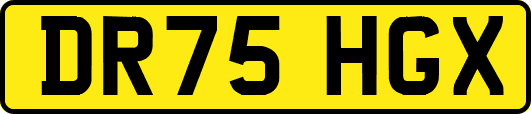 DR75HGX