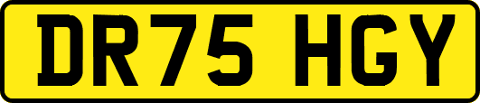 DR75HGY
