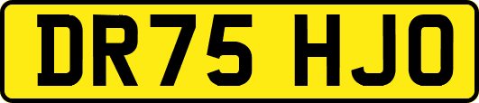 DR75HJO