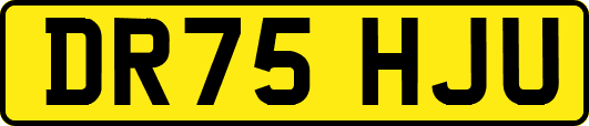 DR75HJU