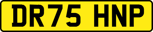 DR75HNP