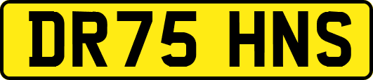 DR75HNS