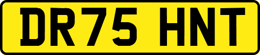DR75HNT