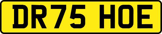 DR75HOE