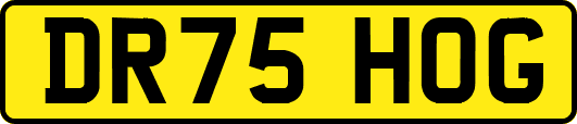 DR75HOG