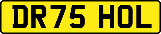 DR75HOL