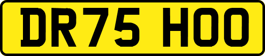 DR75HOO