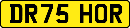 DR75HOR