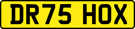 DR75HOX