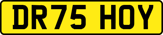DR75HOY