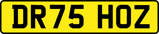 DR75HOZ