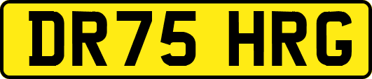 DR75HRG