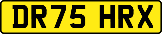 DR75HRX